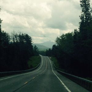 Meet your Posher, Abigail